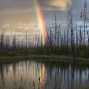 Rainbow and Sunset Sky Collection
