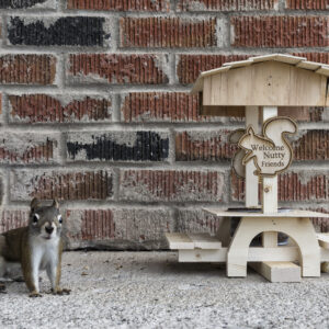 Squirrel by Wooden Feeder